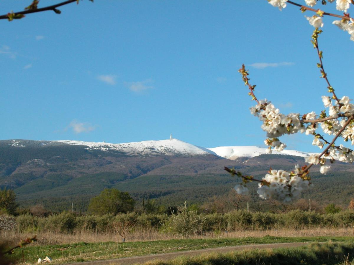 Вілла Mas Boudeissoun - Coeur De Cerise - Baignade A 600 M Mormoiron Екстер'єр фото